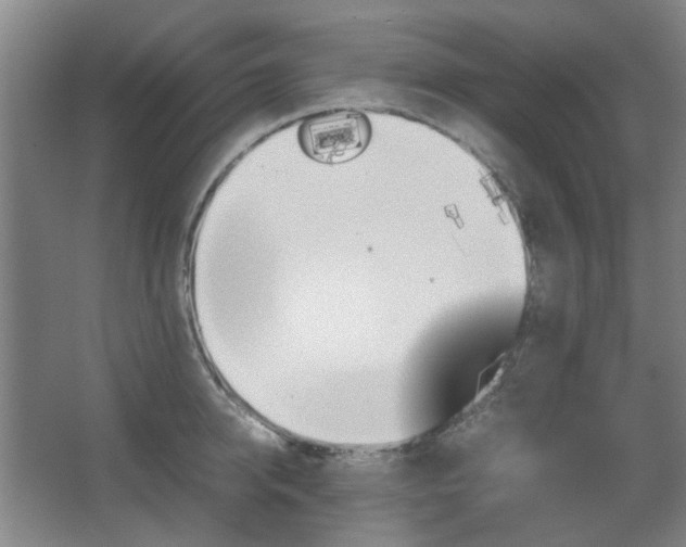 X0000067890950200604131325