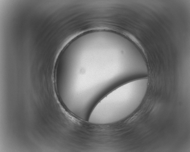 X0000067890951200604131325