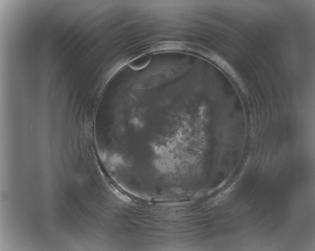 X0000067890953200604131325