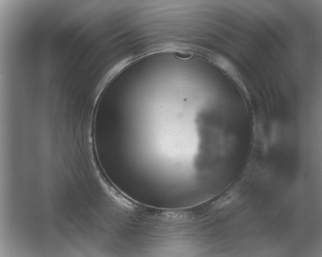 X0000067890954200604131325