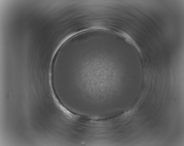 X0000067890955200604131325