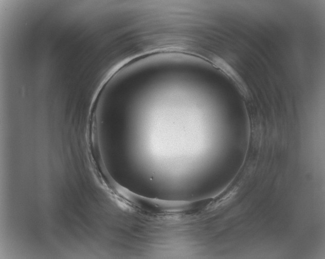 X0000067890956200604131325