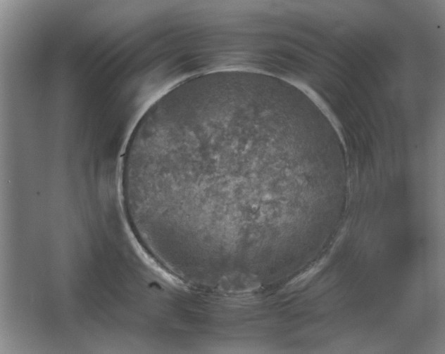 X0000067890957200604131325