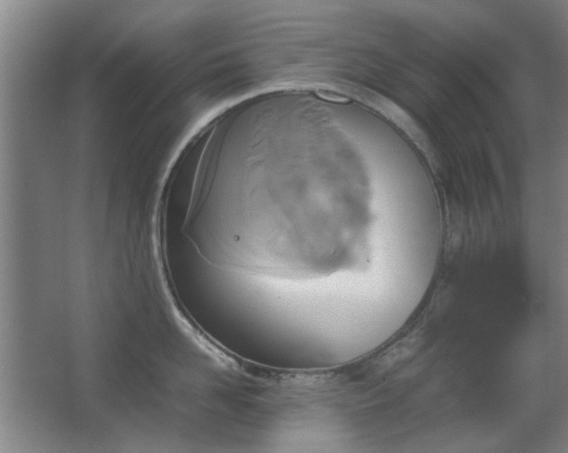 X0000067890958200604131325