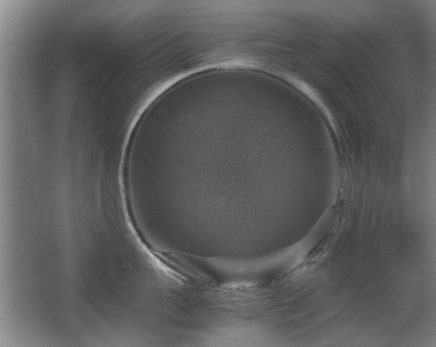 X0000067890959200604131325