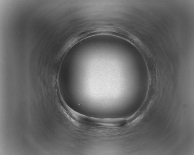 X0000067890985200604131324