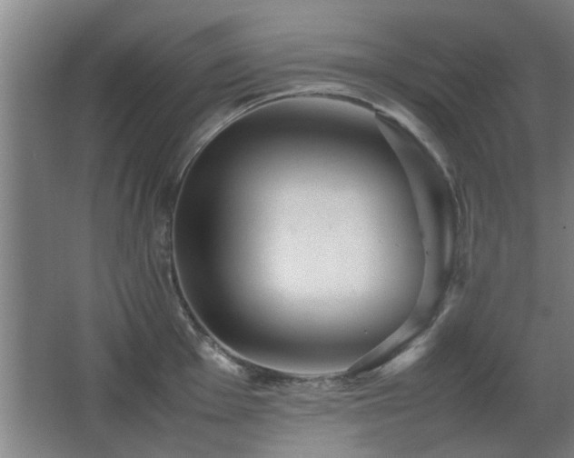 X0000067891001200604131323