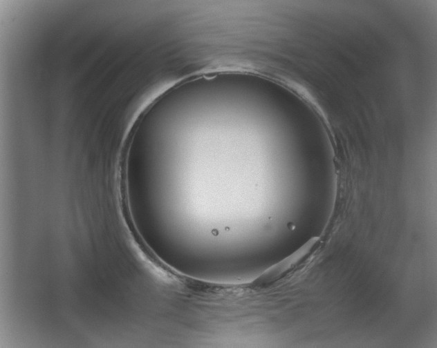X0000067891003200604131323