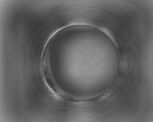 X0000067891004200604131323