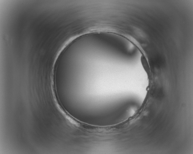 X0000067891005200604131323