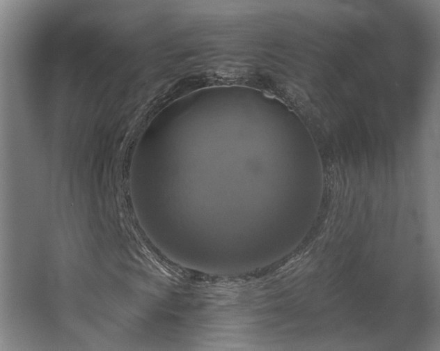 X0000067891009200604131323