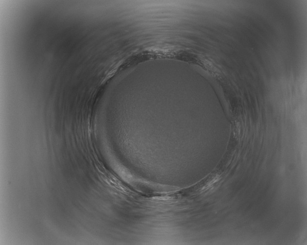 X0000067891010200604131323