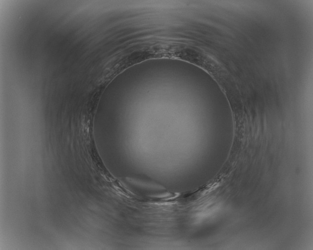 X0000067891013200604131323