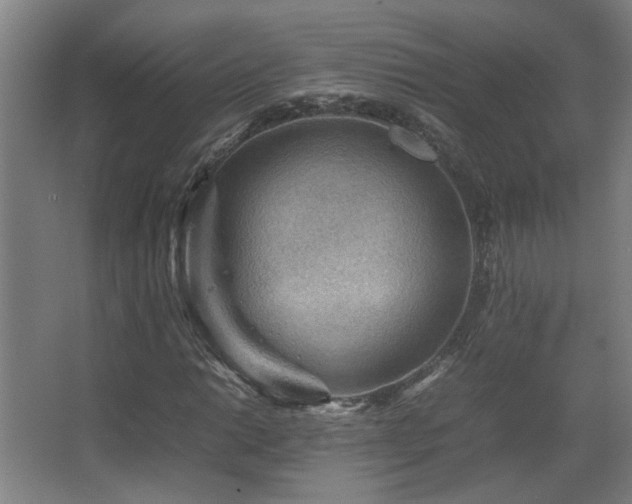 X0000067891014200604131323