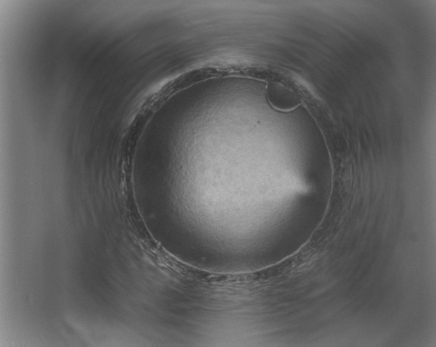 X0000067891016200604131323
