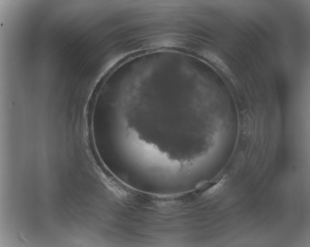 X0000067891031200604131323