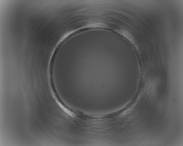 X0000067891037200604131323