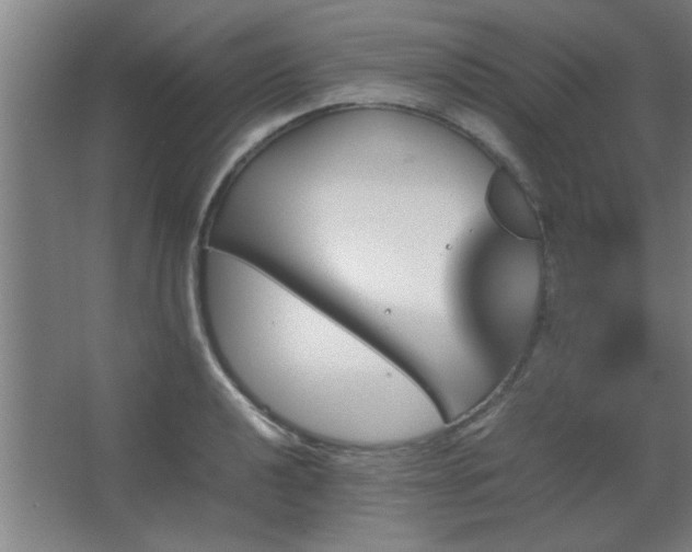 X0000067891040200604131323