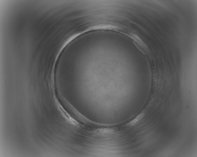 X0000067891044200604131323