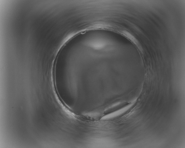 X0000067891055200604131323