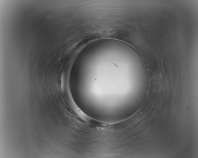 X0000067891058200604131323