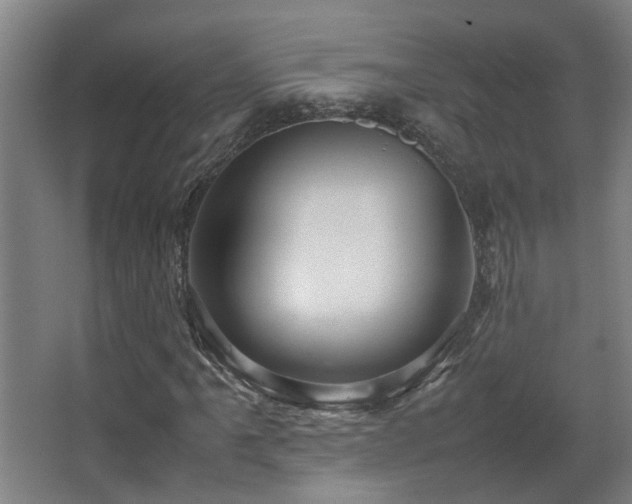 X0000067891061200604131322