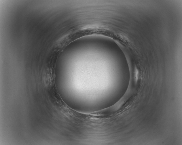 X0000067891062200604131322