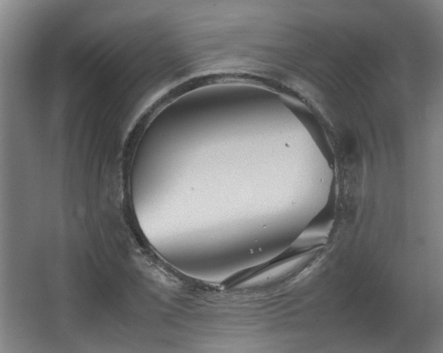 X0000067891069200604131322