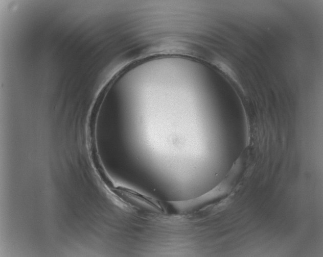 X0000067891082200604131322