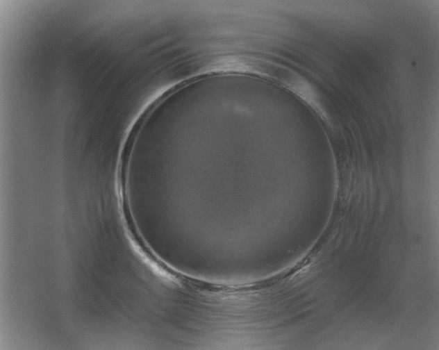 X0000067891084200604131322