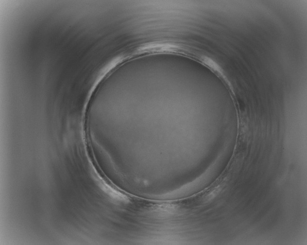 X0000067891090200604131322