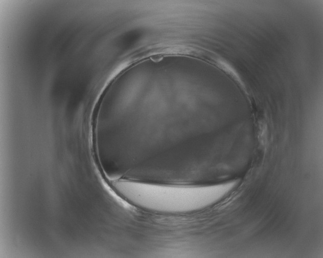 X0000067891095200604131322