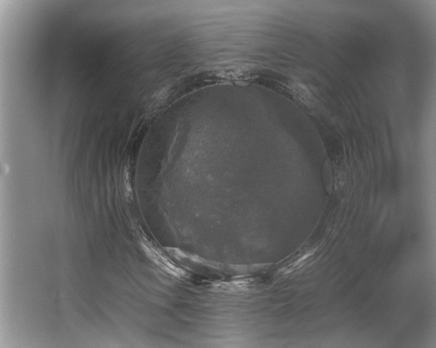 X0000067891106200604131321
