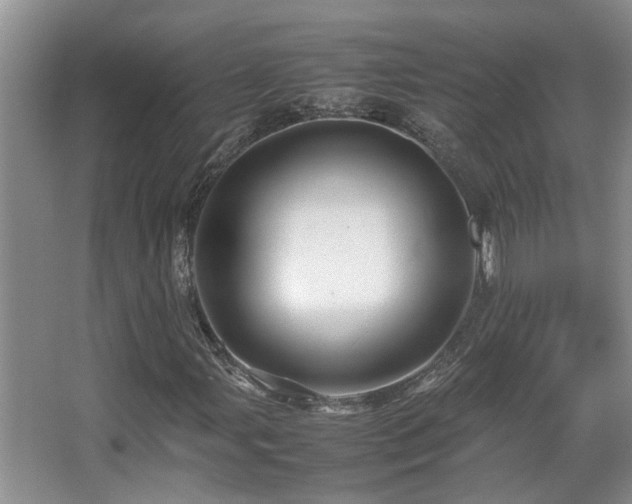 X0000067891107200604131321