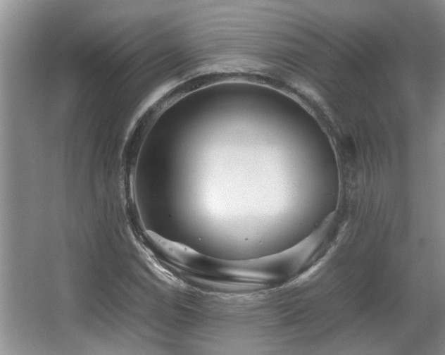 X0000067891114200604131321