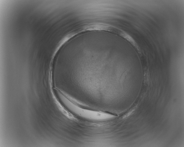 X0000067891130200604131321