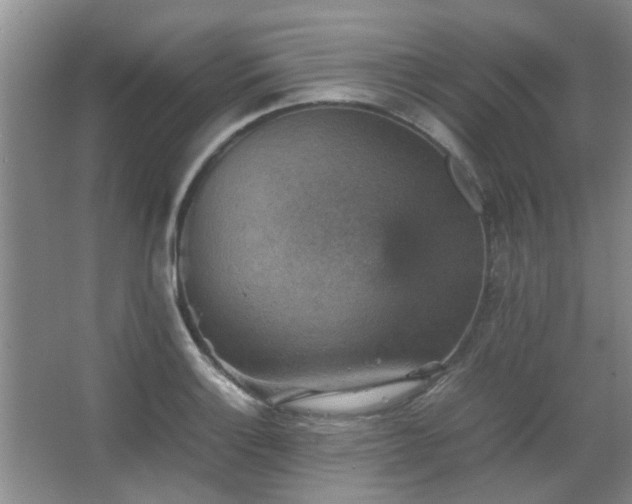 X0000067891132200604131321