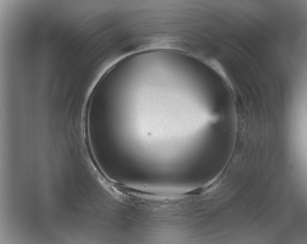 X0000067891148200604131322