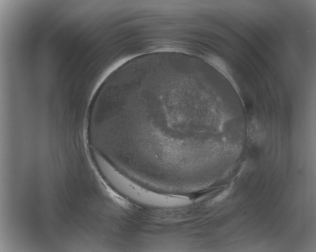 X0000067891149200604131322