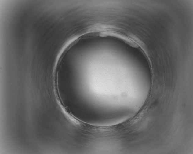 X0000067891152200604131322