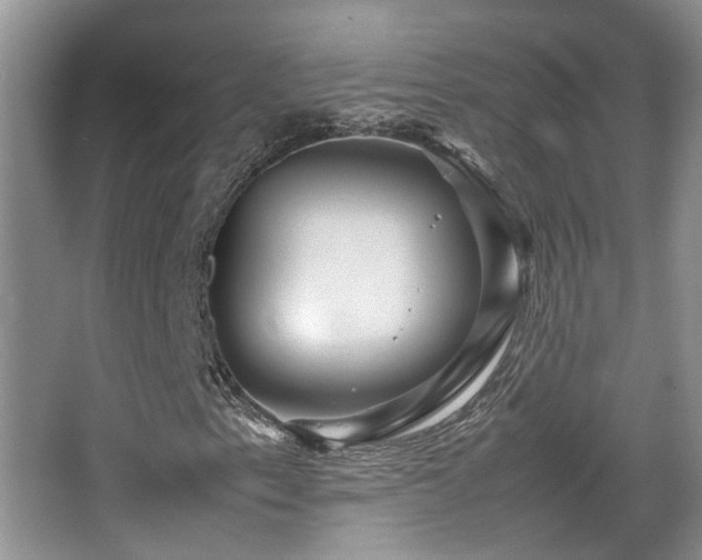 X0000067891153200604131321