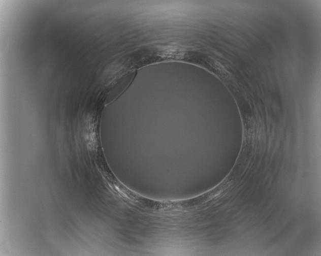 X0000067891154200604131321