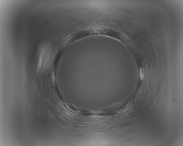 X0000067891155200604131321