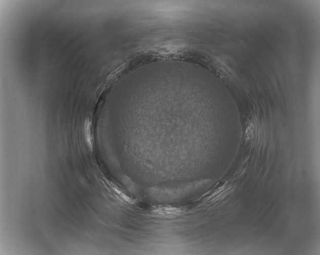 X0000067891156200604131321