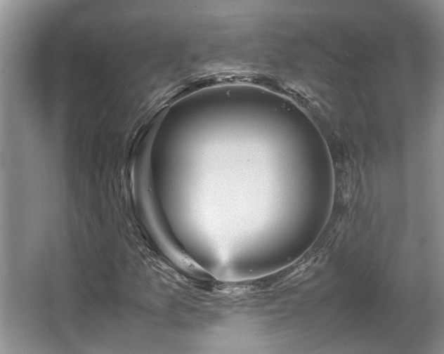 X0000067891157200604131321
