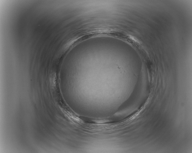 X0000067891161200604131321