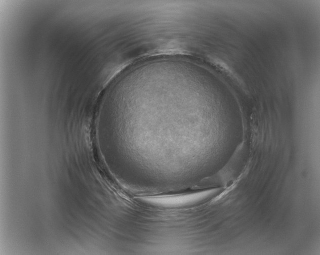 X0000067891162200604131321