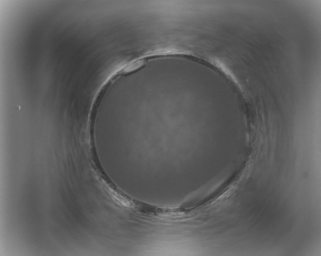 X0000067891173200604131321