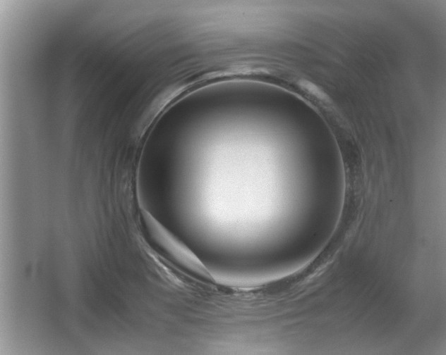 X0000067891177200604131321