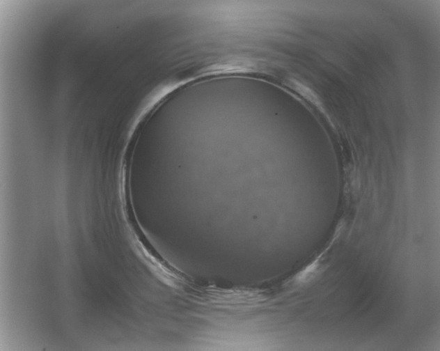 X0000067891179200604131320